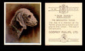 1939 Godfrey Phillips "Our Dogs" Tobacco You Pick Singles Trading Cards #1-30 #20 The Bedlington Terrier  - TvMovieCards.com