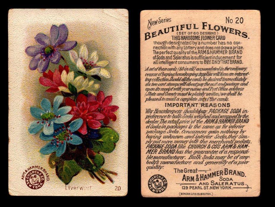 Beautiful Flowers New Series You Pick Singles Card #1-#60 Arm & Hammer 1888 J16 #20 Liverwort  - TvMovieCards.com