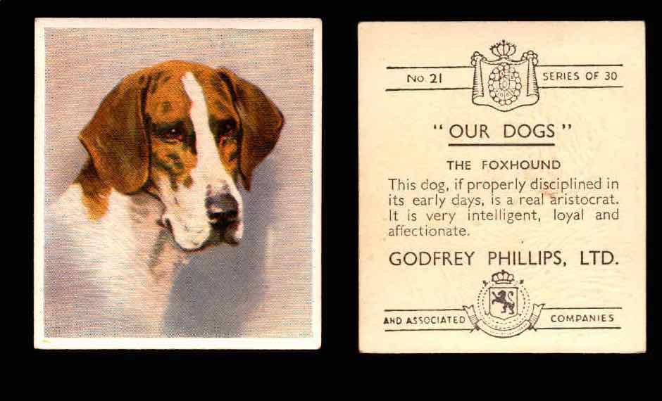 1939 Godfrey Phillips "Our Dogs" Tobacco You Pick Singles Trading Cards #1-30 #21 The Foxhound  - TvMovieCards.com