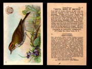 Birds - Useful Birds of America 3rd Series You Pick Singles Church & Dwight J-7 #21 Ovenbird  - TvMovieCards.com
