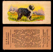 1929 V13 Cowans Dog Pictures Vintage Trading Cards You Pick Singles #1-24 #21 Sheep Dog  - TvMovieCards.com