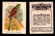 1923 Birds, Beasts, Fishes C1 Imperial Tobacco Vintage Trading Cards Singles #21 The Paradise Parrakeet  - TvMovieCards.com