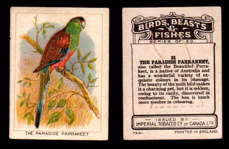 1923 Birds, Beasts, Fishes C1 Imperial Tobacco Vintage Trading Cards Singles #21 The Paradise Parrakeet  - TvMovieCards.com