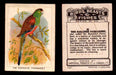 1923 Birds, Beasts, Fishes C1 Imperial Tobacco Vintage Trading Cards Singles #21 The Paradise Parrakeet  - TvMovieCards.com