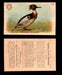 1904 Arm & Hammer Game Bird Series Vintage Trading Cards Singles #1-30 #21 Red-breasted Merganser  - TvMovieCards.com