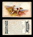1925 Dogs 2nd Series Imperial Tobacco Vintage Trading Cards U Pick Singles #1-50 #21 Pointers  - TvMovieCards.com