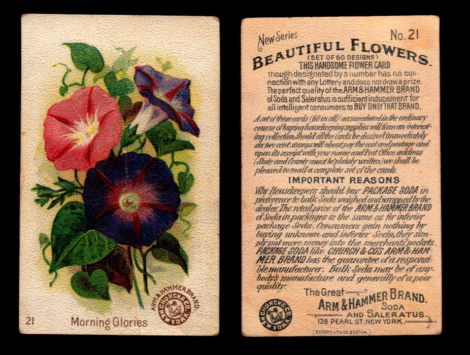 Beautiful Flowers New Series You Pick Singles Card #1-#60 Arm & Hammer 1888 J16 #21 Morning Glories  - TvMovieCards.com