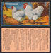 1924 V12 Cowans Chicken Pictures Vintage Trading Cards You Pick Singles #1-24 #21 White Orpingtons  - TvMovieCards.com