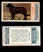1924 Dogs Series Imperial Tobacco Vintage Trading Cards U Pick Singles #1-24 #21 Retriever  - TvMovieCards.com