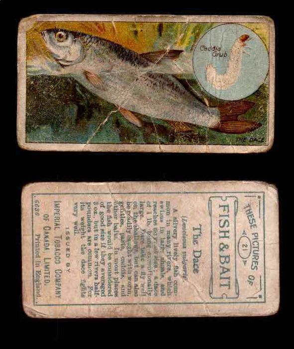 1910 Fish and Bait Imperial Tobacco Vintage Trading Cards You Pick Singles #1-50 #21 The Dace  - TvMovieCards.com