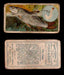 1910 Fish and Bait Imperial Tobacco Vintage Trading Cards You Pick Singles #1-50 #21 The Dace  - TvMovieCards.com