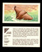 Nature Untamed Nabisco Vintage Trading Cards You Pick Singles #1-24 #21 Devilfish  - TvMovieCards.com