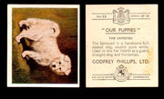 1936 Godfrey Phillips "Our Puppies" Tobacco You Pick Singles Trading Cards #1-30 #22 The Samoyed  - TvMovieCards.com