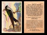 Birds - Useful Birds of America 3rd Series You Pick Singles Church & Dwight J-7 #22 Violet-green Swallow  - TvMovieCards.com
