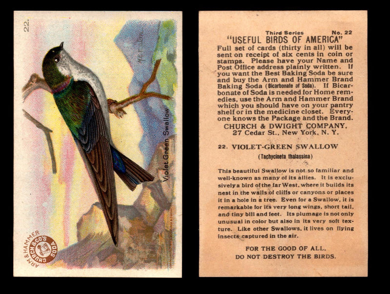 Birds - Useful Birds of America 3rd Series You Pick Singles Church & Dwight J-7 #22 Violet-green Swallow  - TvMovieCards.com