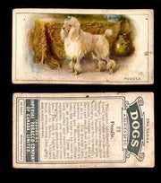 1925 Dogs 2nd Series Imperial Tobacco Vintage Trading Cards U Pick Singles #1-50 #22 Poodle  - TvMovieCards.com