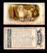 1925 Dogs 2nd Series Imperial Tobacco Vintage Trading Cards U Pick Singles #1-50 #22 Poodle  - TvMovieCards.com
