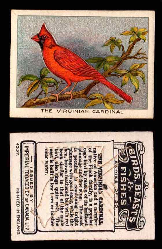 1923 Birds, Beasts, Fishes C1 Imperial Tobacco Vintage Trading Cards Singles