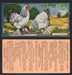 1924 V12 Cowans Chicken Pictures Vintage Trading Cards You Pick Singles #1-24 #22 Light Brahmas  - TvMovieCards.com