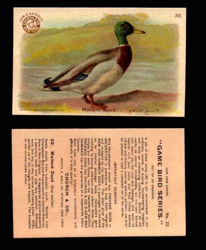 1904 Arm & Hammer Game Bird Series Vintage Trading Cards Singles #1-30 #22 Mallard Duck  - TvMovieCards.com
