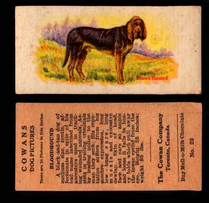 1929 V13 Cowans Dog Pictures Vintage Trading Cards You Pick Singles #1-24 #22 Bloodhound  - TvMovieCards.com