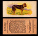 1929 V13 Cowans Dog Pictures Vintage Trading Cards You Pick Singles #1-24 #22 Bloodhound  - TvMovieCards.com