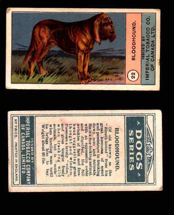 1924 Dogs Series Imperial Tobacco Vintage Trading Cards U Pick Singles #1-24 #22 Bloodhound  - TvMovieCards.com