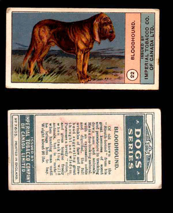 1924 Dogs Series Imperial Tobacco Vintage Trading Cards U Pick Singles #1-24 #22 Bloodhound  - TvMovieCards.com