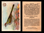Birds - Useful Birds of America 3rd Series You Pick Singles Church & Dwight J-7 #23 Green-tailed Towhee  - TvMovieCards.com