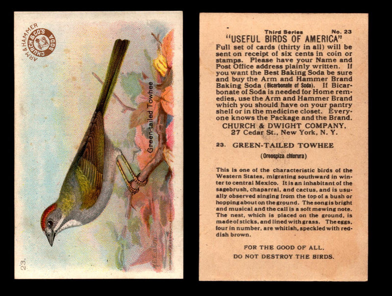 Birds - Useful Birds of America 3rd Series You Pick Singles Church & Dwight J-7 #23 Green-tailed Towhee  - TvMovieCards.com