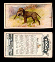 1925 Dogs 2nd Series Imperial Tobacco Vintage Trading Cards U Pick Singles #1-50 #23 Curly Retriever  - TvMovieCards.com