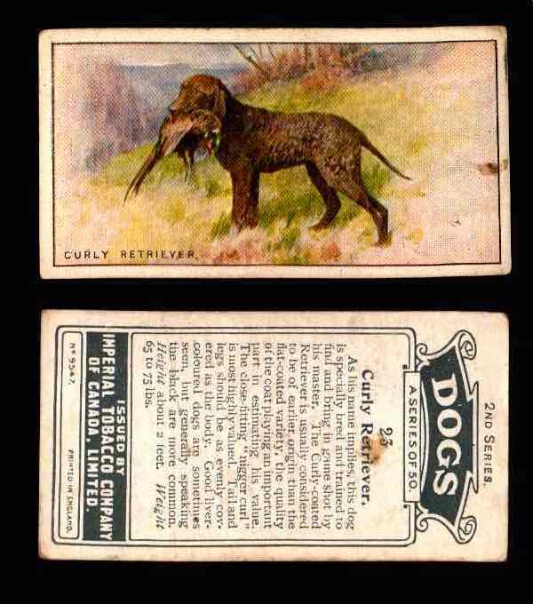 1925 Dogs 2nd Series Imperial Tobacco Vintage Trading Cards U Pick Singles #1-50 #23 Curly Retriever  - TvMovieCards.com