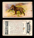 1925 Dogs 2nd Series Imperial Tobacco Vintage Trading Cards U Pick Singles #1-50 #23 Curly Retriever  - TvMovieCards.com