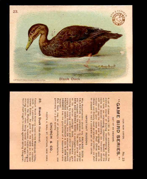 1904 Arm & Hammer Game Bird Series Vintage Trading Cards Singles #1-30 #23 Black Duck  - TvMovieCards.com