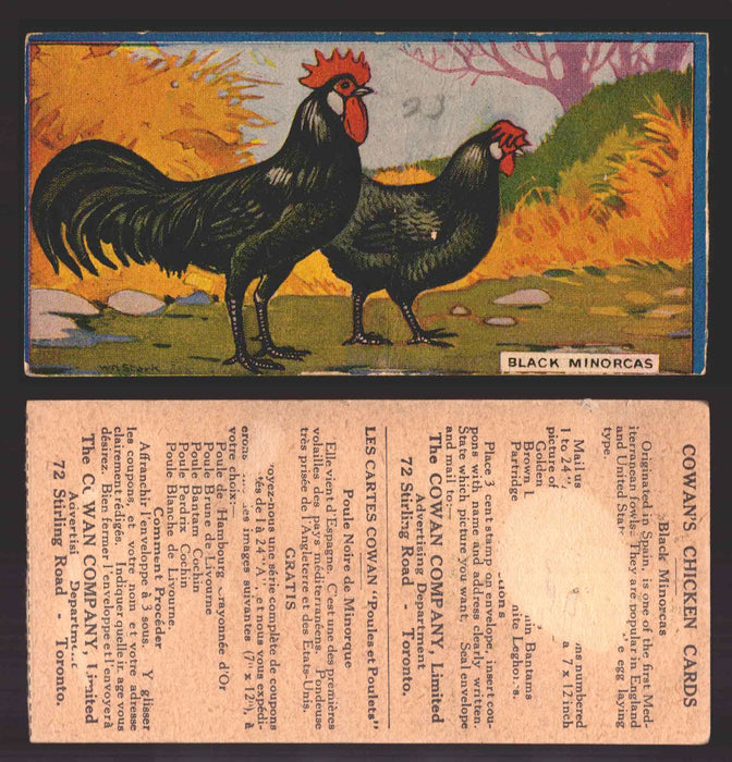 1924 V12 Cowans Chicken Pictures Vintage Trading Cards You Pick Singles #1-24 #23 Black Minorcas  - TvMovieCards.com