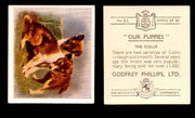1936 Godfrey Phillips "Our Puppies" Tobacco You Pick Singles Trading Cards #1-30 #23 The Collie  - TvMovieCards.com