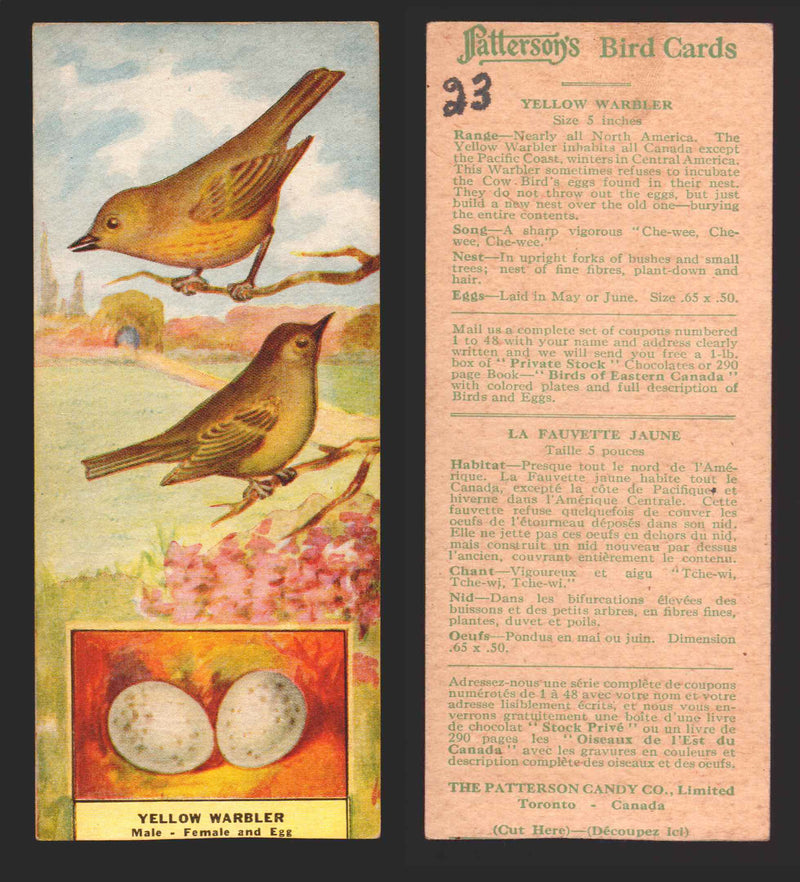 1924 Patterson's Bird Chocolate Vintage Trading Cards U Pick Singles #1-46 23 Yellow Warbler  - TvMovieCards.com