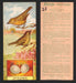 1924 Patterson's Bird Chocolate Vintage Trading Cards U Pick Singles #1-46 23 Yellow Warbler  - TvMovieCards.com