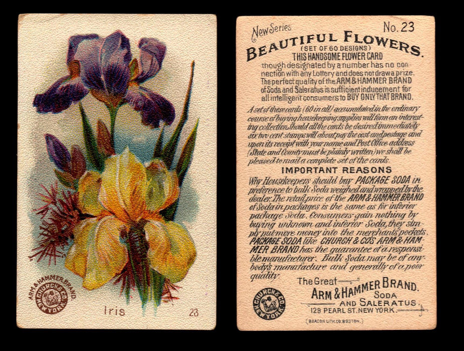 Beautiful Flowers New Series You Pick Singles Card #1-#60 Arm & Hammer 1888 J16 #23 Iris  - TvMovieCards.com