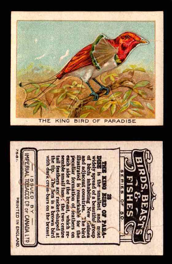 1923 Birds, Beasts, Fishes C1 Imperial Tobacco Vintage Trading Cards Singles #23 The King Bird of Paradise  - TvMovieCards.com