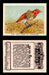 1923 Birds, Beasts, Fishes C1 Imperial Tobacco Vintage Trading Cards Singles #23 The King Bird of Paradise  - TvMovieCards.com