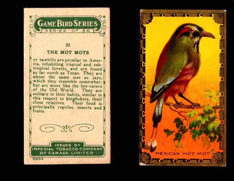 1910 Game Bird Series C14 Imperial Tobacco Vintage Trading Cards Singles #1-30 #23 The Mot Mots  - TvMovieCards.com