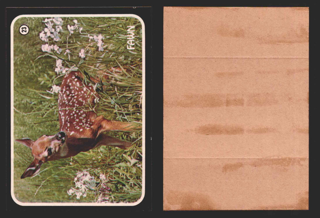 Zoo's Who Topps Animal Sticker Trading Cards You Pick Singles #1-40 1975 #23 Fawn  - TvMovieCards.com