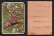 Zoo's Who Topps Animal Sticker Trading Cards You Pick Singles #1-40 1975 #23 Fawn  - TvMovieCards.com