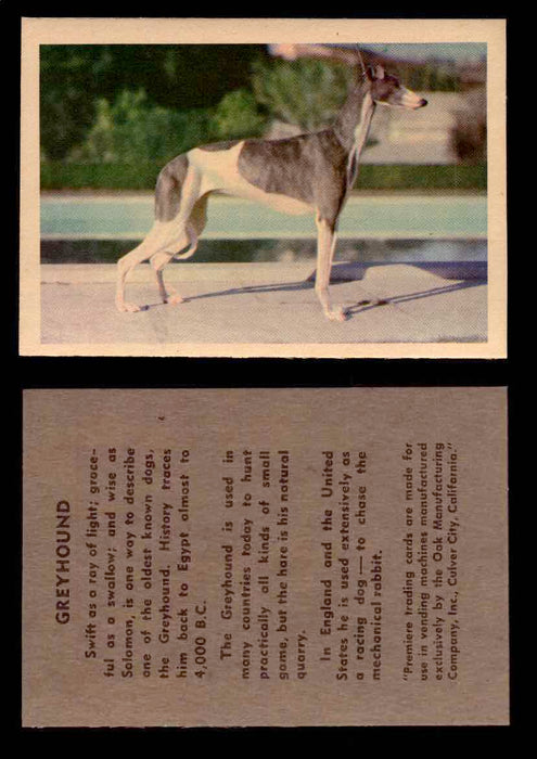 1957 Dogs Premiere Oak Man. R-724-4 Vintage Trading Cards You Pick Singles #1-42 #23 Greyhound  - TvMovieCards.com