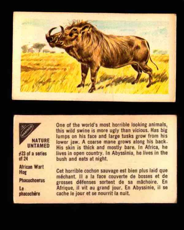Nature Untamed Nabisco Vintage Trading Cards You Pick Singles #1-24 #23 African Wart Hog  - TvMovieCards.com