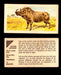 Nature Untamed Nabisco Vintage Trading Cards You Pick Singles #1-24 #23 African Wart Hog  - TvMovieCards.com
