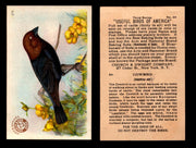 Birds - Useful Birds of America 3rd Series You Pick Singles Church & Dwight J-7 #24 Cowbird  - TvMovieCards.com