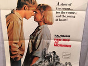 Original 1971 "Red Sky at Morning" 1 Sheet Movie Poster 27"x 41" Catherine Burns   - TvMovieCards.com