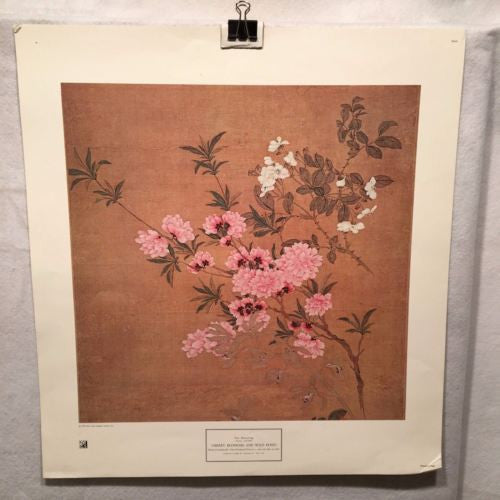 Vintage Yun Shou-p'ing CHERRY BLOSSOMS AND WILD ROSES New York Graphic Print   - TvMovieCards.com